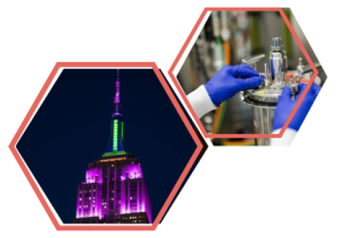 Investors hero image